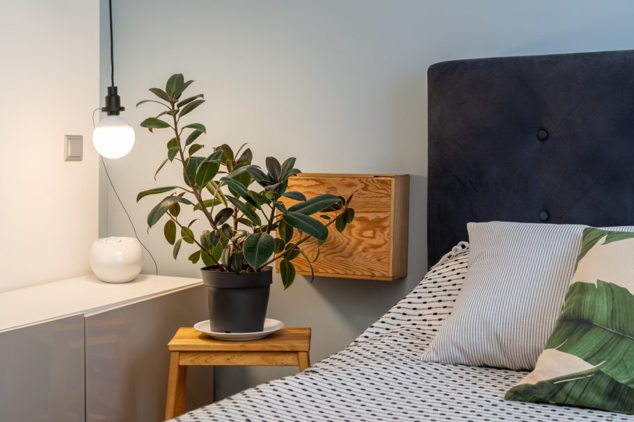 Cozy bedroom with a plant, wooden accent, and textured bedding on a stylish bed.