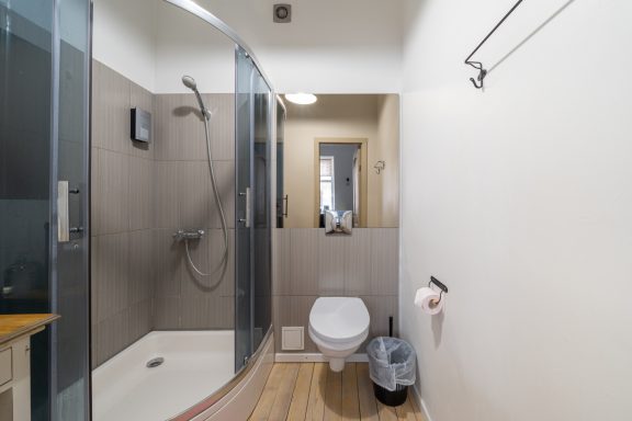 Modern bathroom featuring a glass shower, toilet, and wooden flooring.
